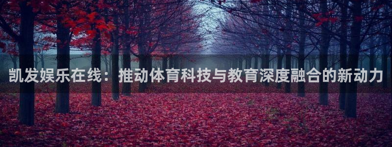 黄石华赢乐家装饰公司怎么样：凯发娱乐在线：推动体育科技与教育深度融合的新动力