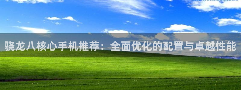 赢乐平台：骁龙八核心手机推荐：全面优化的配置与卓越性能