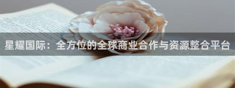 人生就是搏手机版：星耀国际：全方位的全球商业合作与资源整合平台