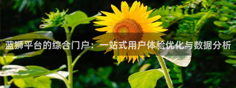 赢乐平台：蓝狮平台的综合门户：一站式用户体验优化与数据分析