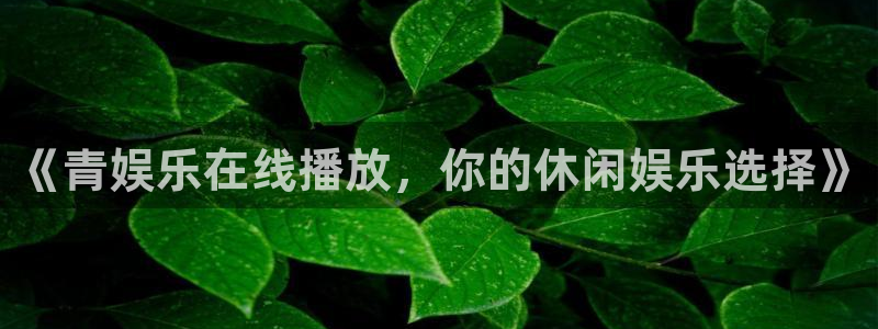 赢乐app下载安装：《青娱乐在线播放，你的休闲娱乐选择》