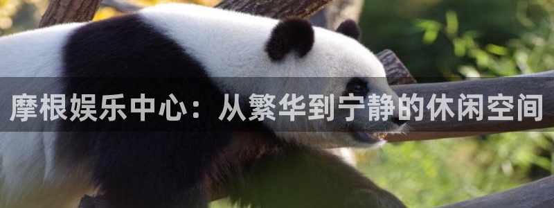 赢乐娱乐：摩根娱乐中心：从繁华到宁静的休闲空间