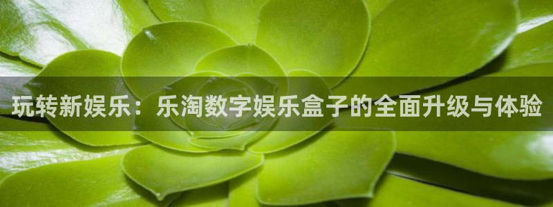 赢乐棋盘：玩转新娱乐：乐淘数字娱乐盒子的全面升级与体验
