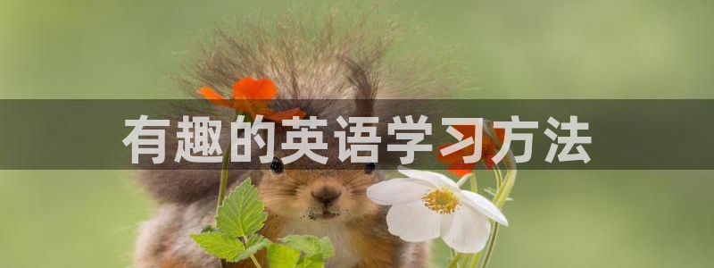 赢乐彩票官网：有趣的英语学习方法