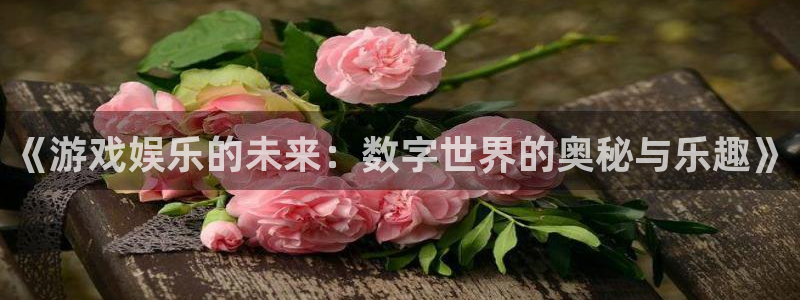 赢乐app下载安装：《游戏娱乐的未来：数字世界的奥秘与乐趣》