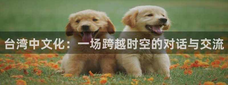 赢乐麻将：台湾中文化：一场跨越时空的对话与交流