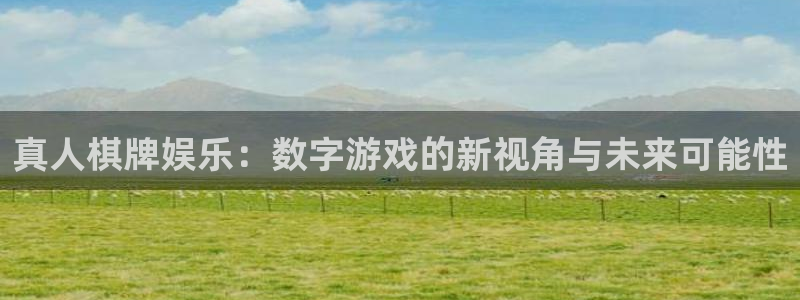 商赢乐点：真人棋牌娱乐：数字游戏的新视角与未来可能性