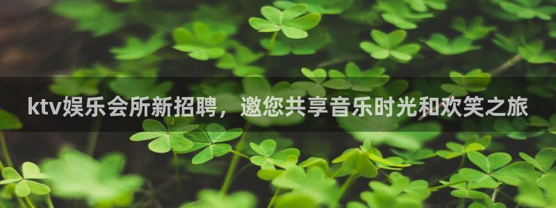 黄石华赢乐家装饰公司怎么样：ktv娱乐会所新招聘，邀您共享音乐时光和欢笑之旅