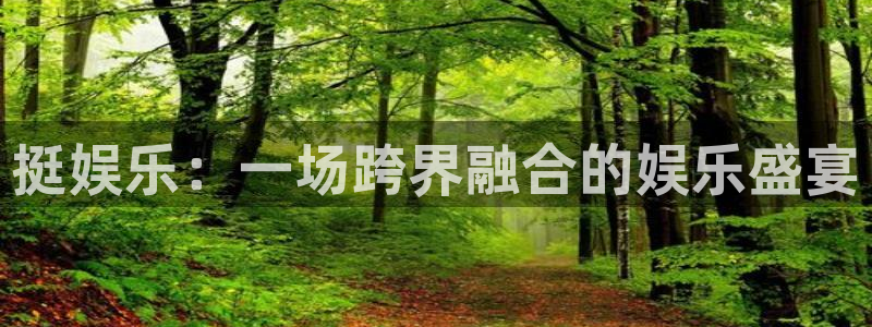 赢乐棋盘：挺娱乐：一场跨界融合的娱乐盛宴
